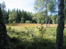 směrem k domovu v Tisovci