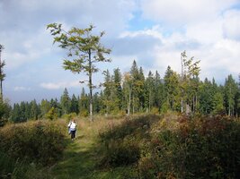 Další den přecházíme liduprázdný hřeben Polany,