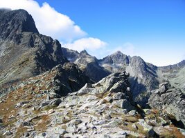 do všech světových stran