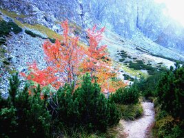 a za chvíli sešli serpentýnami až sem