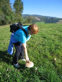 (ty houby jsme neplánovali)