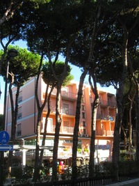 uprostřed zeleně v ulicích a parcích