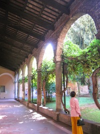 Má skrovné vnějšín ambbity,