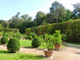 s květenou všech kontinentů