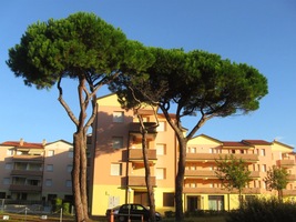 ST 17.9. - V letovisku Rosssolino Mare jsme bydleli