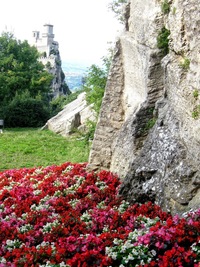 ale květy je dělají malebným