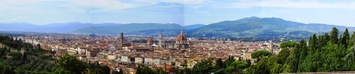 Fiorentina panoramatica