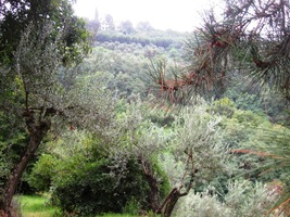 ale pak jsme vstoupili do přírody