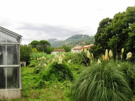 Zpočátku to ještě ušlo,