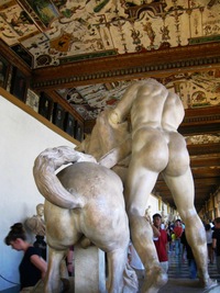 který je zajímavý zepředu i zezadu