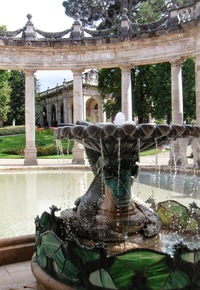 v jezírkách, fontánách i kašnách,