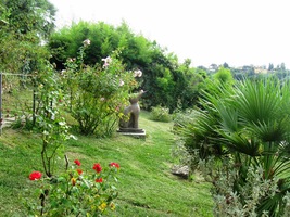 Sestup parkem pokračuje