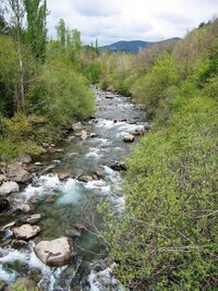 Aragon se však výdejem energie nikterak neunavil