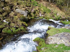 Potůček poskakoval po peřejích,