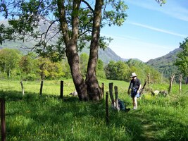 Poutník si zde s chutí odpočine