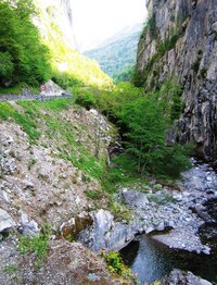 je zima, teplota je blízko k nule