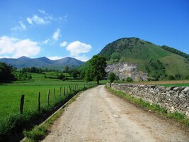 Cesta jde vinicemi ke vzdáleným horám