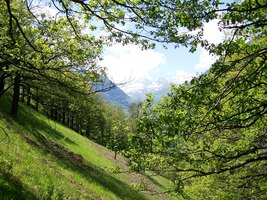 a neprodleně vyrazili na horskou túru