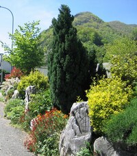 a květnová květena přepestrá