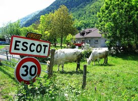 Vida, jak je francouzština jednoduchá!