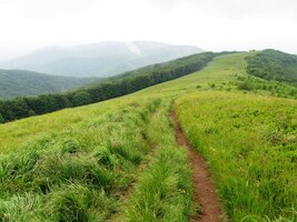 a mlha překáží ve výhledech