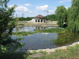 Mají tu jezírko s lekníny