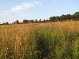 Světlo zapadajícího slunce