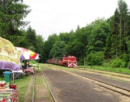 Právě sem přijíždí místní atrakce