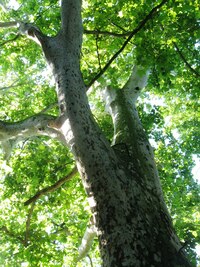 Je tu i zámecký park