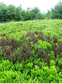 takže sucho v botech je záhy minulostí