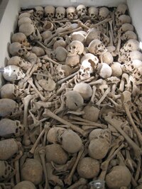 padlí vojáci z I.světové války