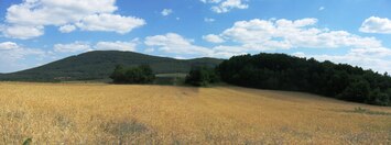 Po dlouhém sestupu hlubokým lesem