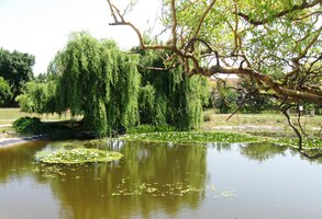 Pak jsme přejeli vlakem do obce Čerhov