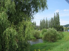 PÁ 26.6. Začínáme na břehu řeky Cirochy