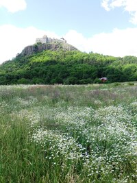 Nashledanou, bylo tu krásně!