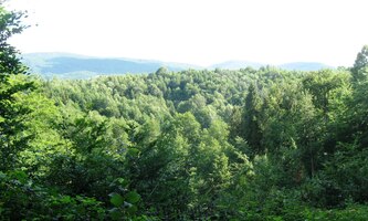 Konečně trochu světla,