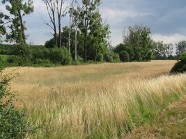 Je nádherný letní podvečer