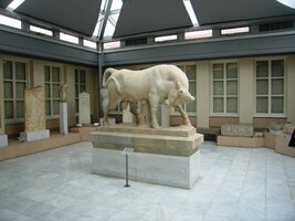 i posvátných zvířat