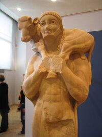 stejně jako jeho druh své tele