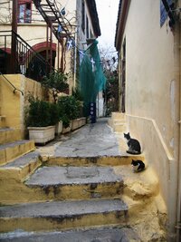 Leží ve svahu pod Akropolí a je sídlem mnoha koček