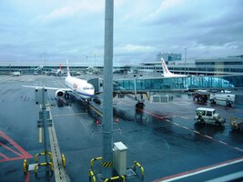 Ráno na ruzyňském letišti bylo mlhavé,