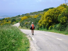 Cesta se stává pohodlnou