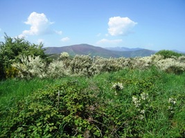 Hory zde mají spíše charakter náhorní plošiny,