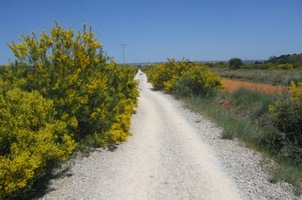do podhorských planin