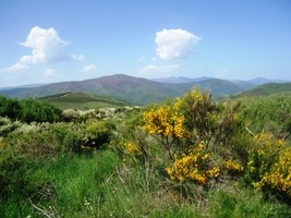 ale příroda je tu nádherná