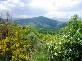 neb krajina se tu mění každým krokem