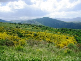a horské scenérie vás nutí fotografovat o překot,