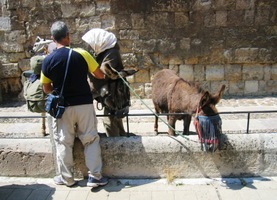Někteří přijeli i na oslících