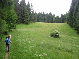 My jsme ale neváhali a vyrazili do hory