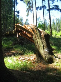 Zde začíná hřebenová cesta